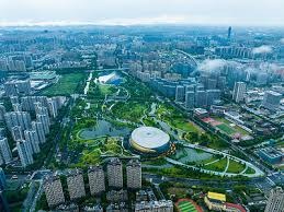 为什么三垒教练的信号系统被视为球场上最考验即时记忆力的加密通讯